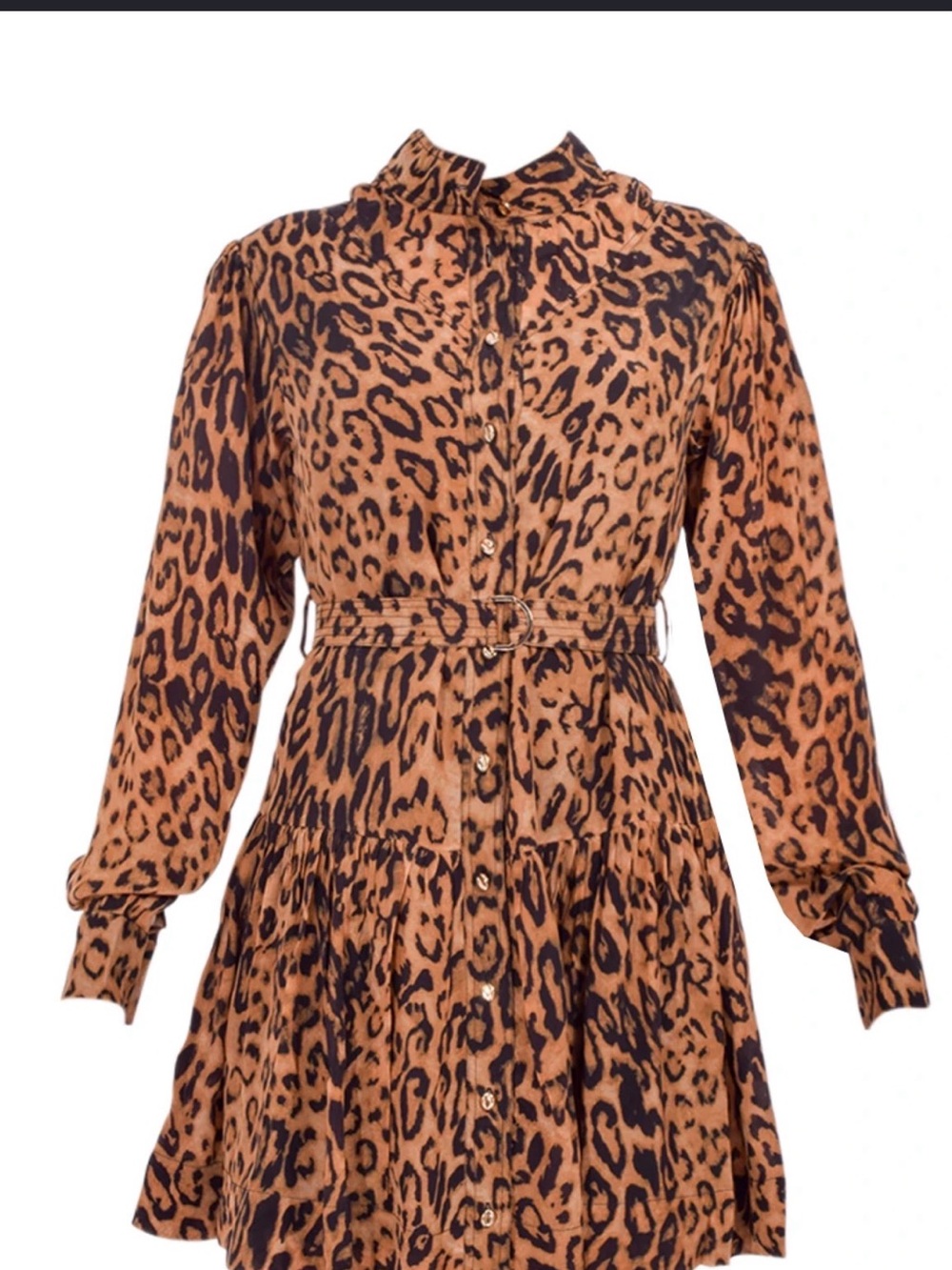 Karina Grimaldi Leopard-Print Long Sleeve Dress in Tan and Black